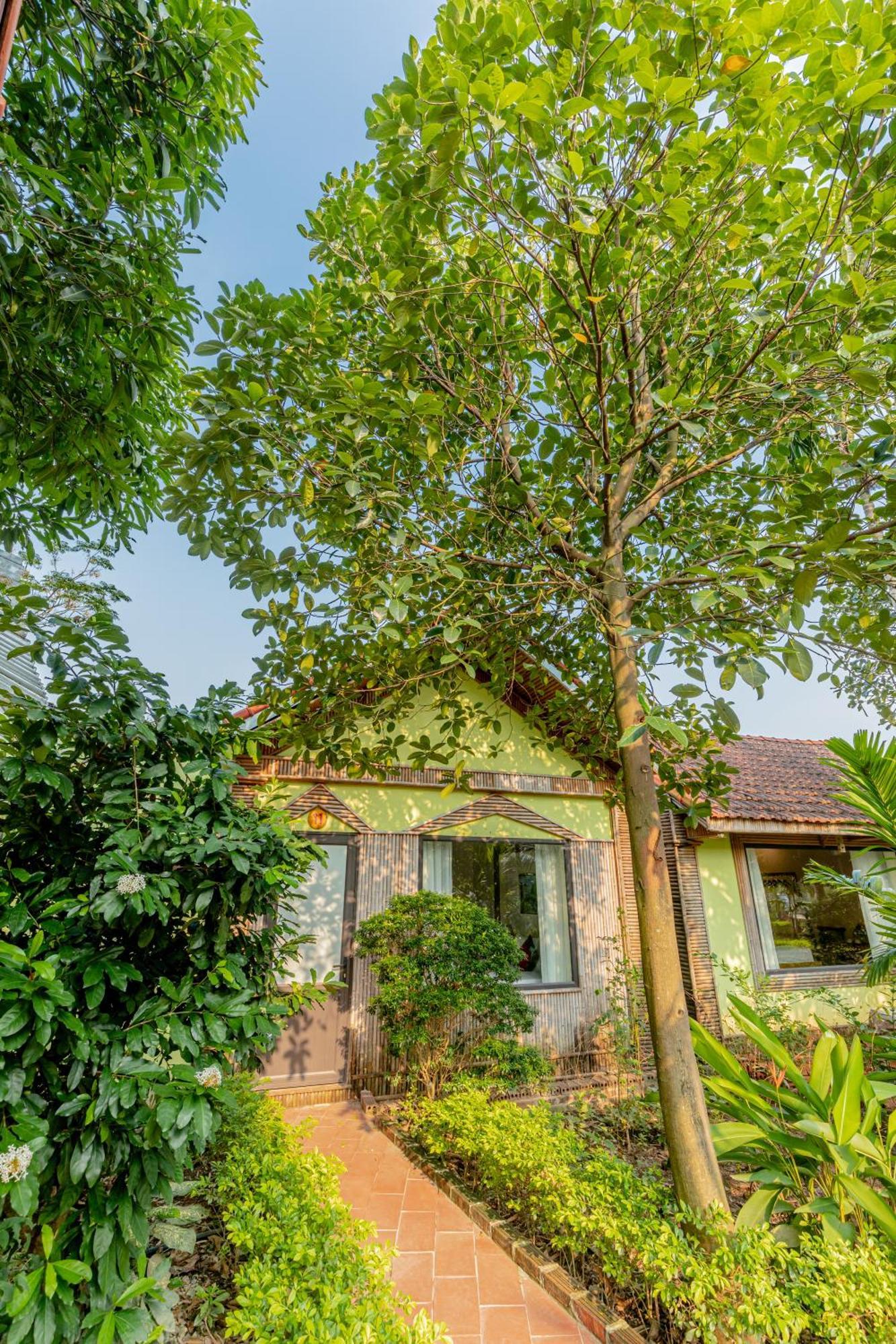 Tam Coc Green Garden Bungalow Ninh Binh Buitenkant foto
