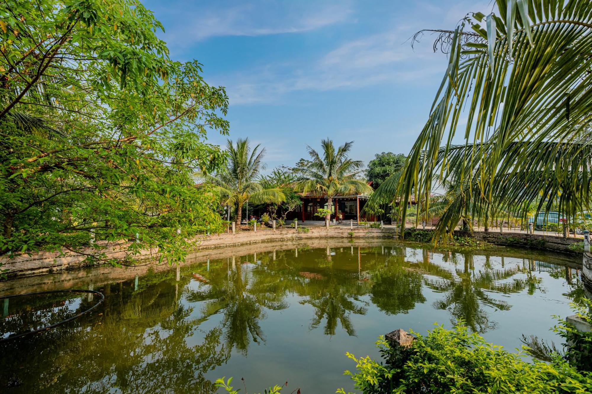 Tam Coc Green Garden Bungalow Ninh Binh Buitenkant foto