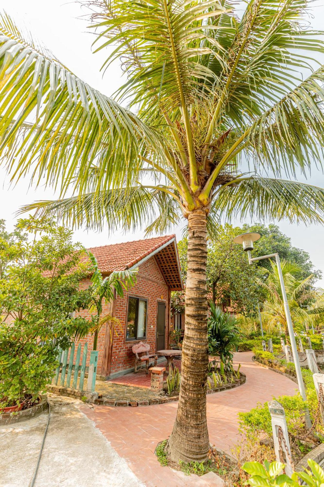 Tam Coc Green Garden Bungalow Ninh Binh Buitenkant foto