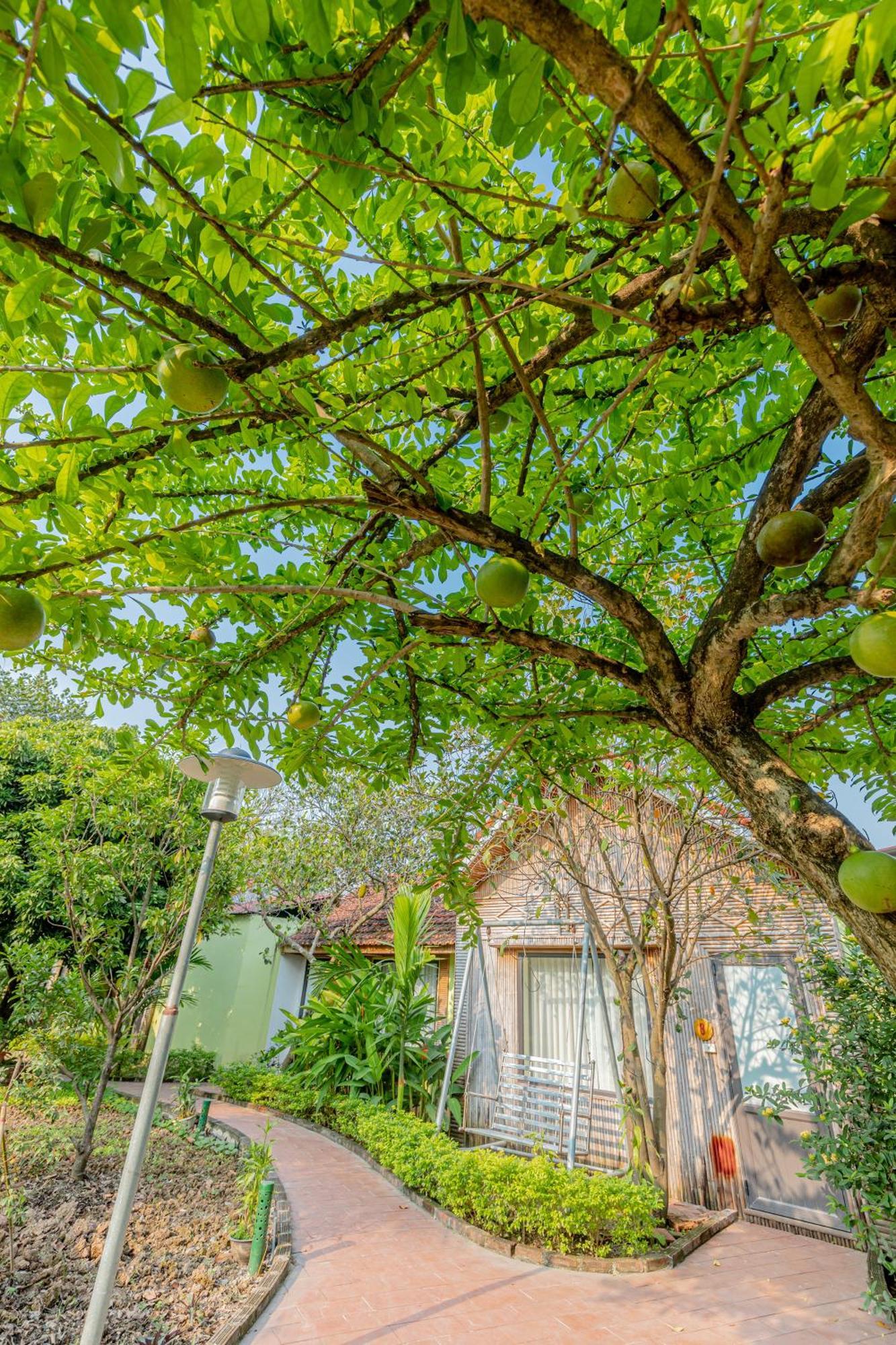 Tam Coc Green Garden Bungalow Ninh Binh Buitenkant foto